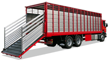 P-Line Single Deck