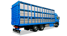 P-line Three Deck